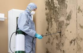 Best Biohazard Mold Removal  in Glenwood, MN